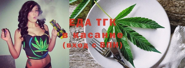 индика Абаза