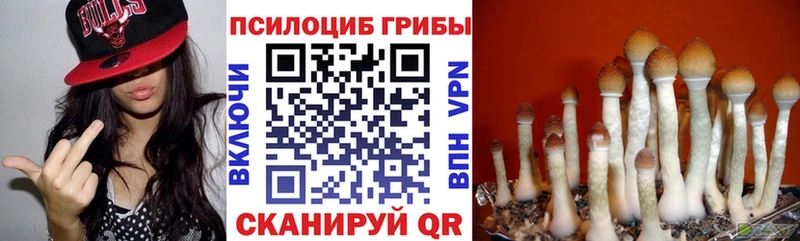 наркошоп  Исилькуль  Галлюциногенные грибы мухоморы 